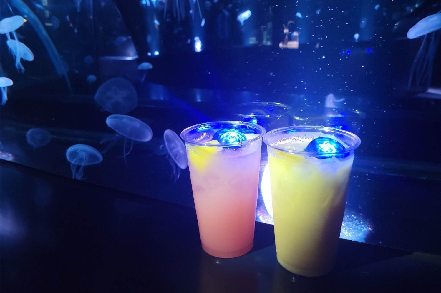 水族館｜京都水族館に“レトロ喫茶”が出現＆クリームソーダなど販売、「夜のすいぞくかん」でウォーターカーテンも