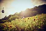 「神戸布引ハーブ園／ロープウェイ」が夏のリゾートに！ひまわり畑が出現、夜景＆イルミネーション鑑賞も｜写真19