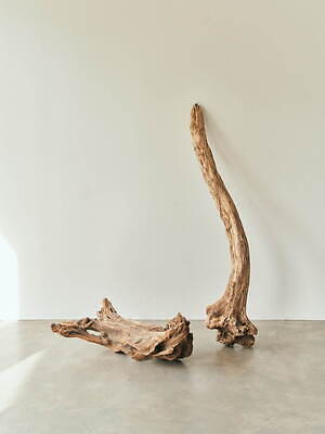 フィルメランジェ(FilMelange) 2023-24年秋冬ウィメンズ&メンズコレクション  - 写真7