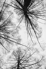 アシードンクラウド 2023年秋冬コレクション - 羊飼いの少女と森の守り神が織りなす物語｜写真18