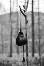 アシードンクラウド 2023年秋冬コレクション - 羊飼いの少女と森の守り神が織りなす物語｜写真19