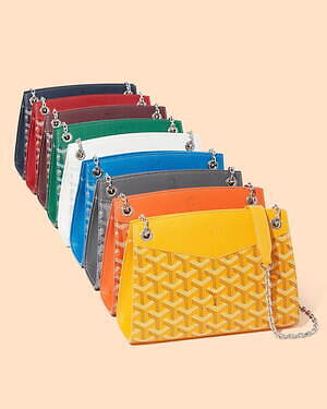 ゴヤール(GOYARD) ルエット バッグ｜写真5