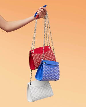 ゴヤール(GOYARD) ルエット バッグ｜写真11