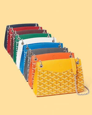 ゴヤール(GOYARD) ルエット バッグ｜写真4