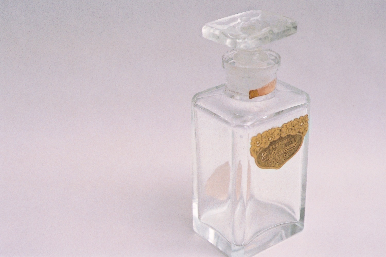 写真家・石内都の個展が資生堂ギャラリーで - “ものに宿る記憶”銀座を捉えた写真作品を紹介