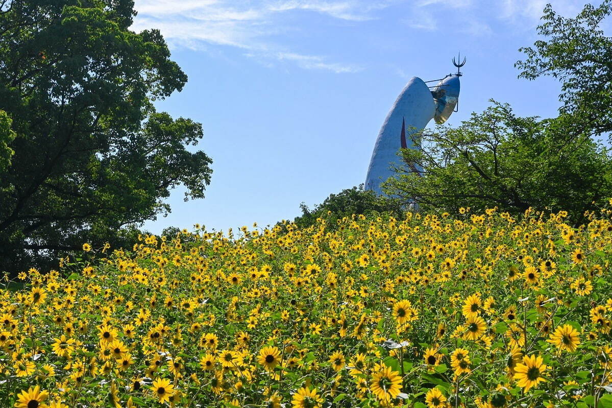 写真提供：万博記念公園マネジメント・パートナーズ