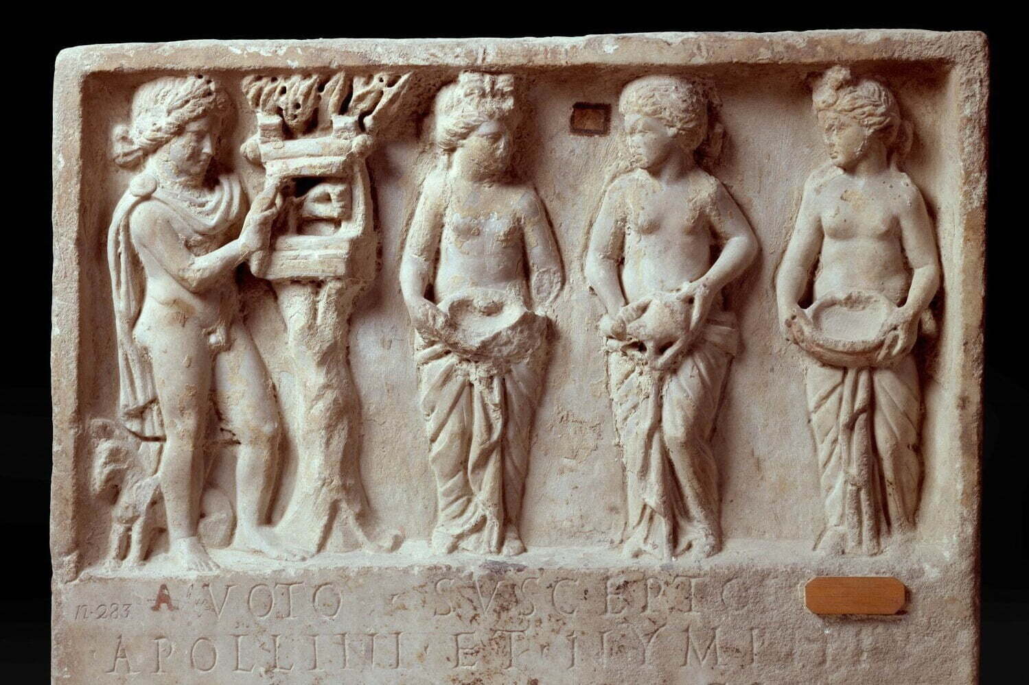 美術館｜展覧会「テルマエ展 お風呂でつながる古代ローマと日本」山梨県立美術館で、日本の入浴文化も紹介