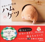 ハムスターのお尻フェチ必見、写真集「ハムケツ」発売｜写真1