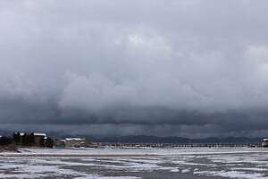 ヤシキ(YASHIKI) 2023-24年秋冬ウィメンズ&メンズコレクション  - 写真49