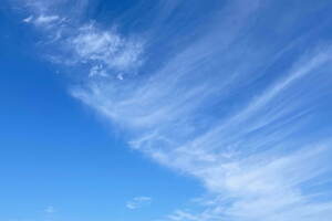 ヤシキ(YASHIKI) 2023-24年秋冬ウィメンズ&メンズコレクション  - 写真52