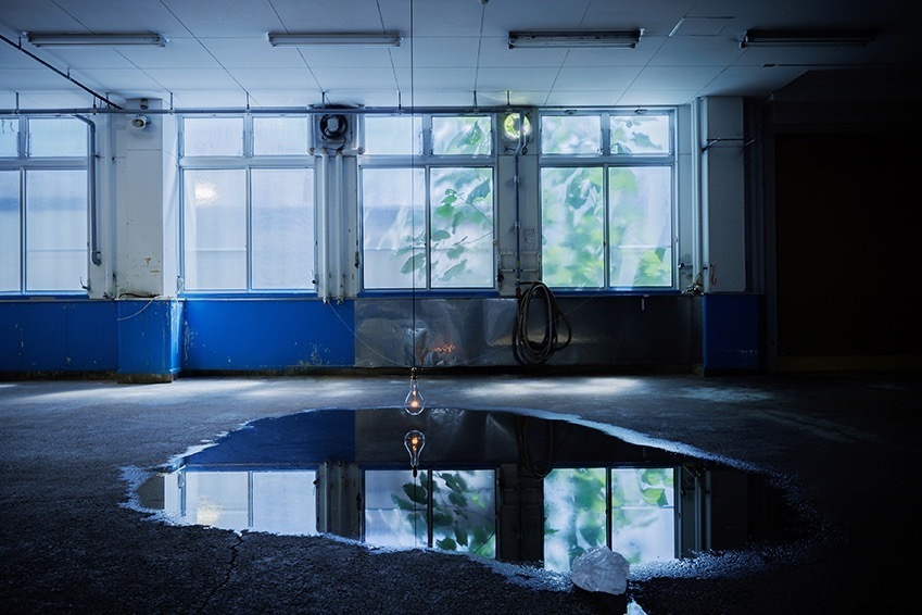 保良雄 《fruiting body》
2022年 インスタレーション
展示風景：「Reborn-Art Festival 2021-22：利他と流動性」(後期)
撮影：齋藤太一 ［参考図版］