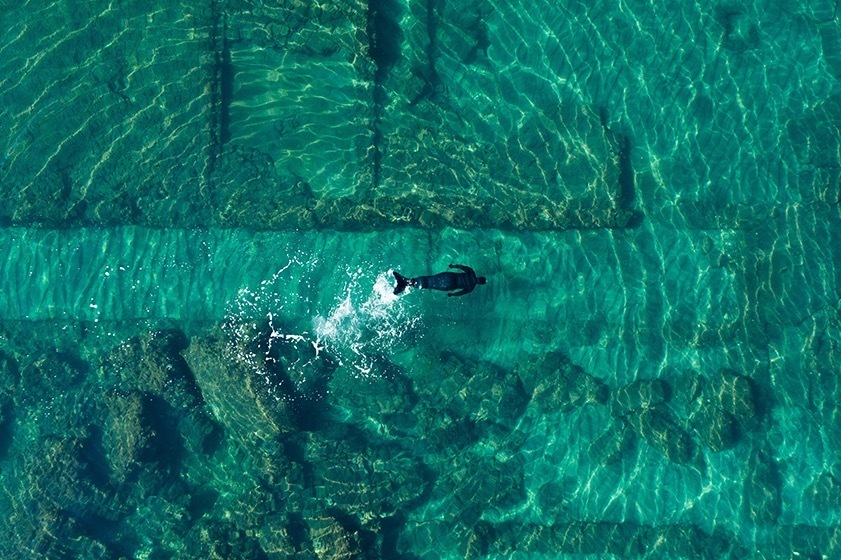 展覧会「私たちのエコロジー」森美術館で - 現代美術は環境問題にどう向き合うか、約35人の作家を紹介