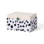 フランフラン(Francfranc) ディズニーヴィランズ｜写真63