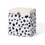 フランフラン(Francfranc) ディズニーヴィランズ｜写真65