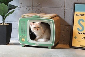 ボックス型TV＆洗濯機が“ネコ用爪とぎ”に？！即完ペットグッズが、オーサムストアで再び