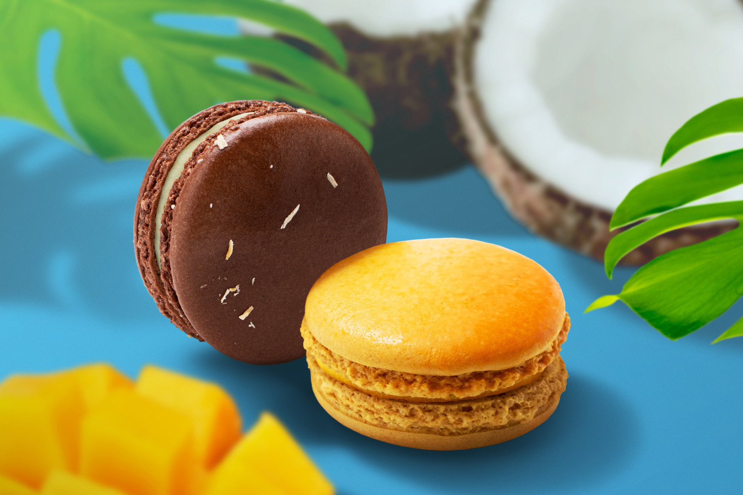 ブボ・バルセロナ 表参道店