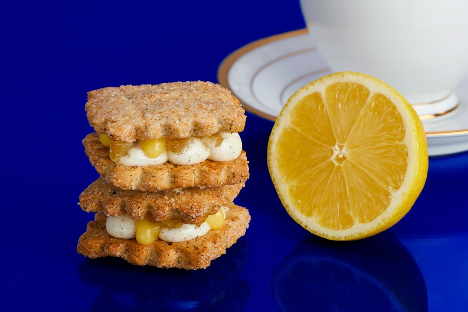 渋谷モディ「クッキー同盟」