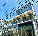 オートクチュールカフェ表参道“シャインマスカット”が主役の夏アフタヌーンティー｜写真5