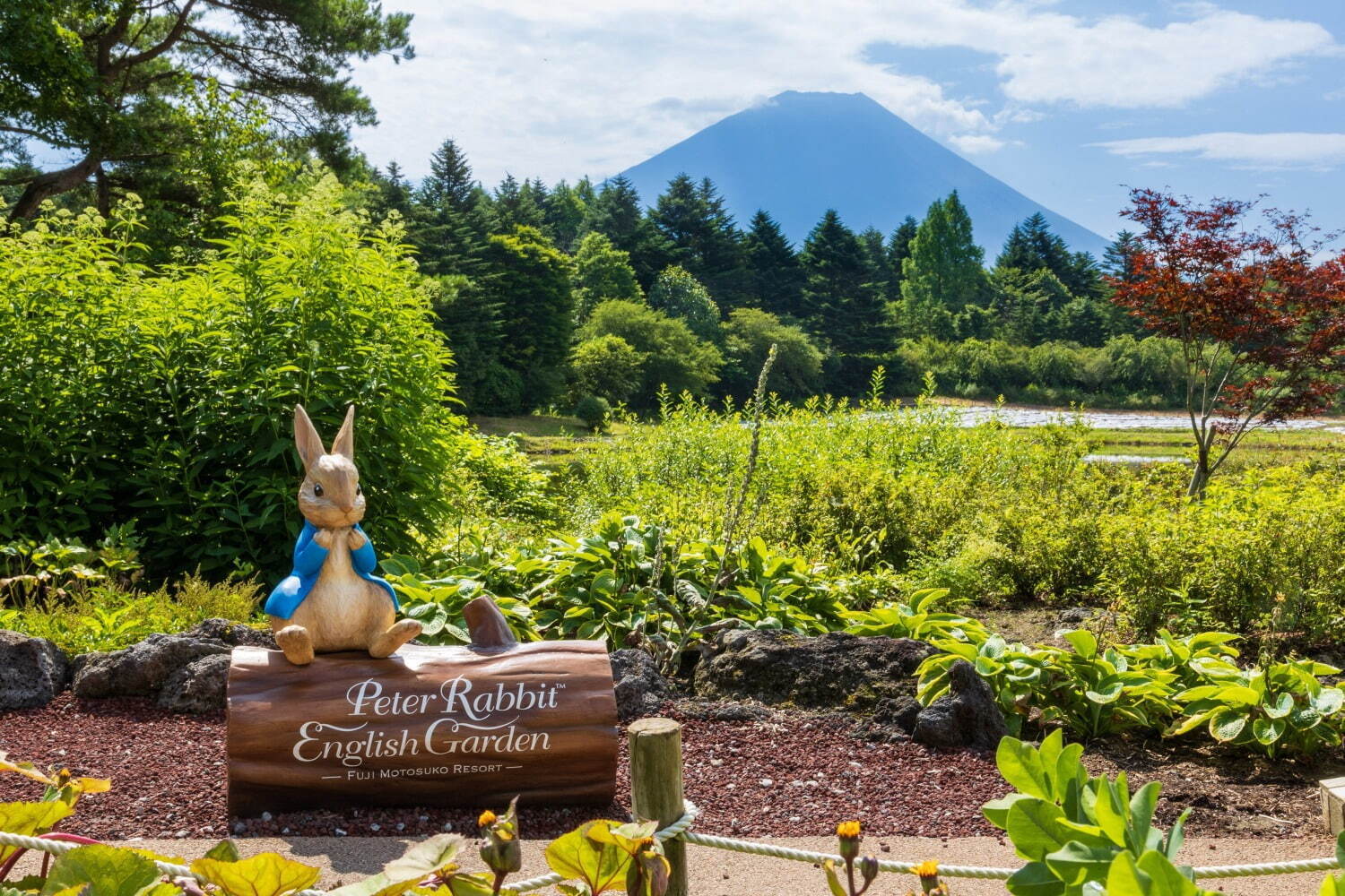 富士本栖リゾート「2023虹の花まつり」約9万株のカラフルな秋の花々を富士山と共に、フォトスポットも｜写真5