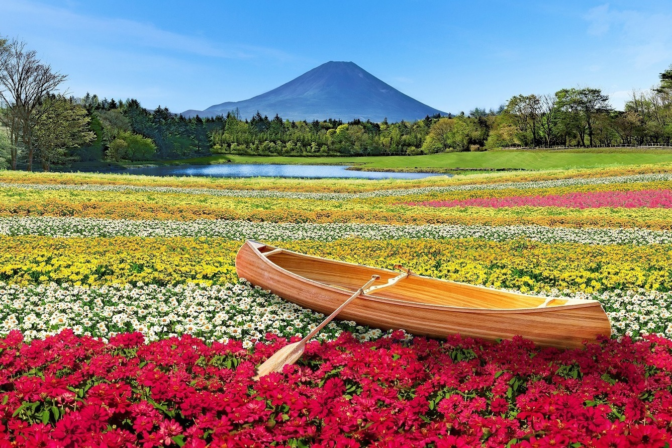 信玄餅｜富士本栖リゾート「2023虹の花まつり」約9万株のカラフルな秋の花々を富士山と共に、フォトスポットも