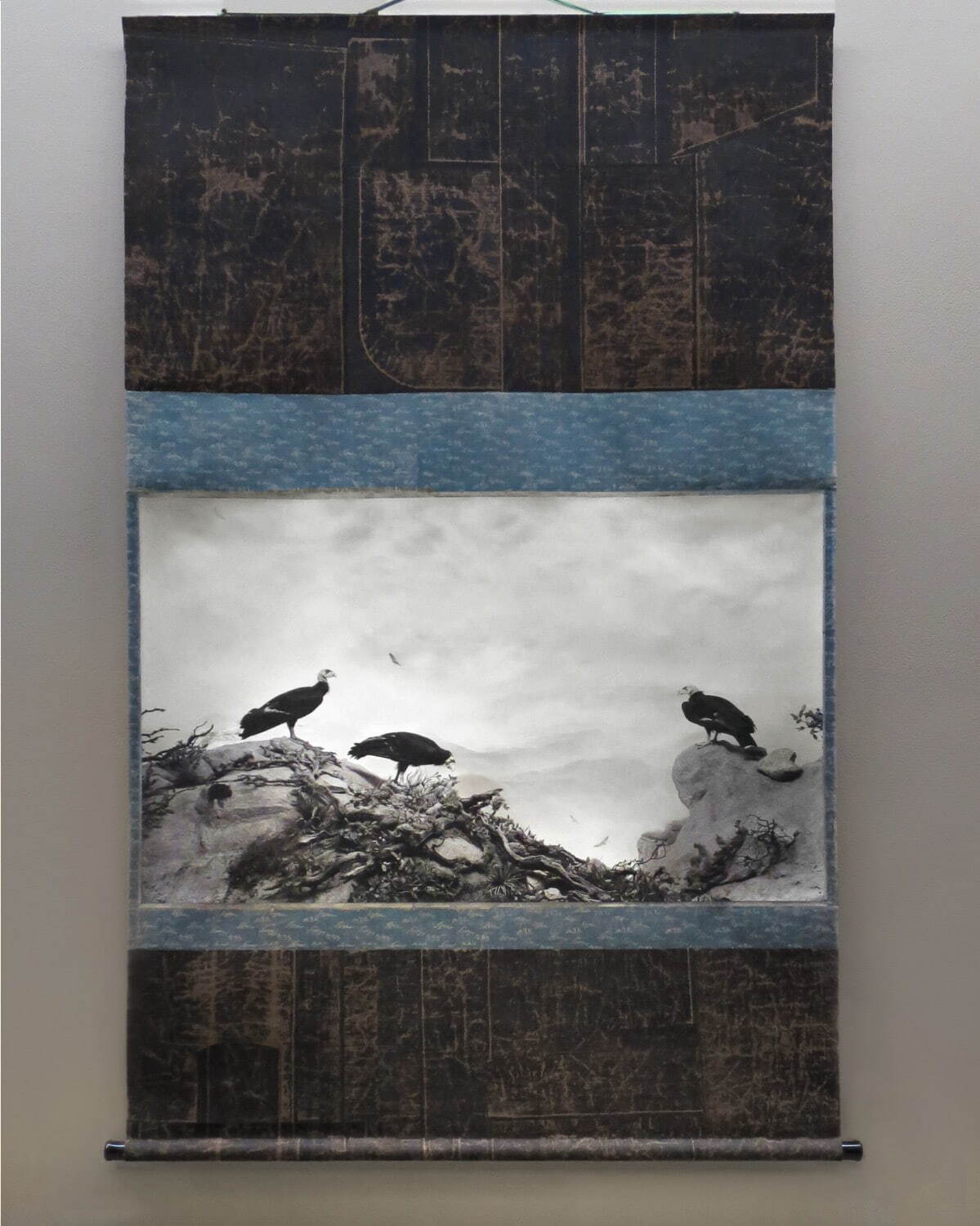 杉本博司 《カリフォルニア・コンドル》 1994年 ピグメント・プリント 作家蔵 ©Hiroshi Sugimoto