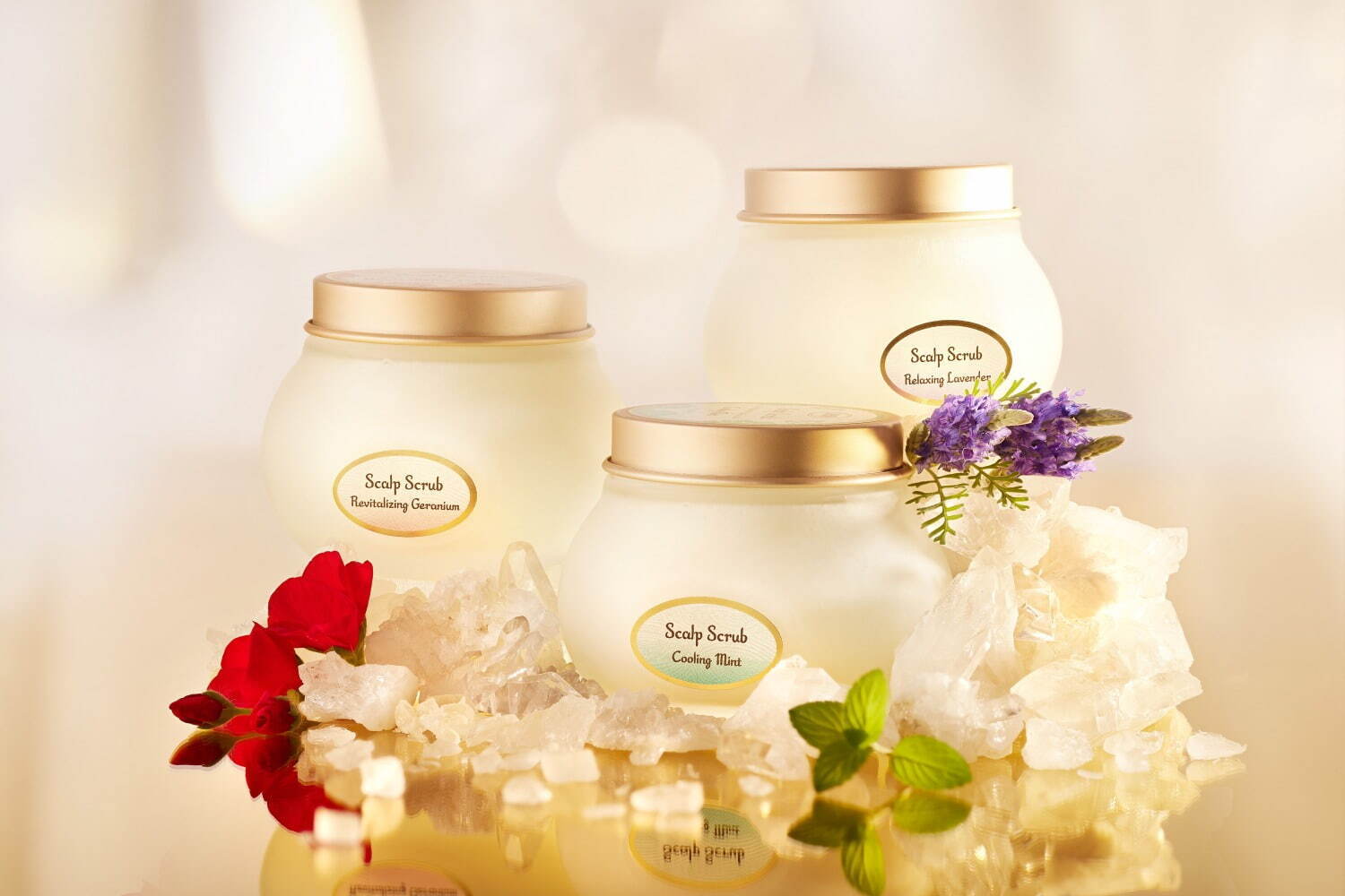 今年10月購入したばかりです【SABON】ヘッドスクラブ２点セット