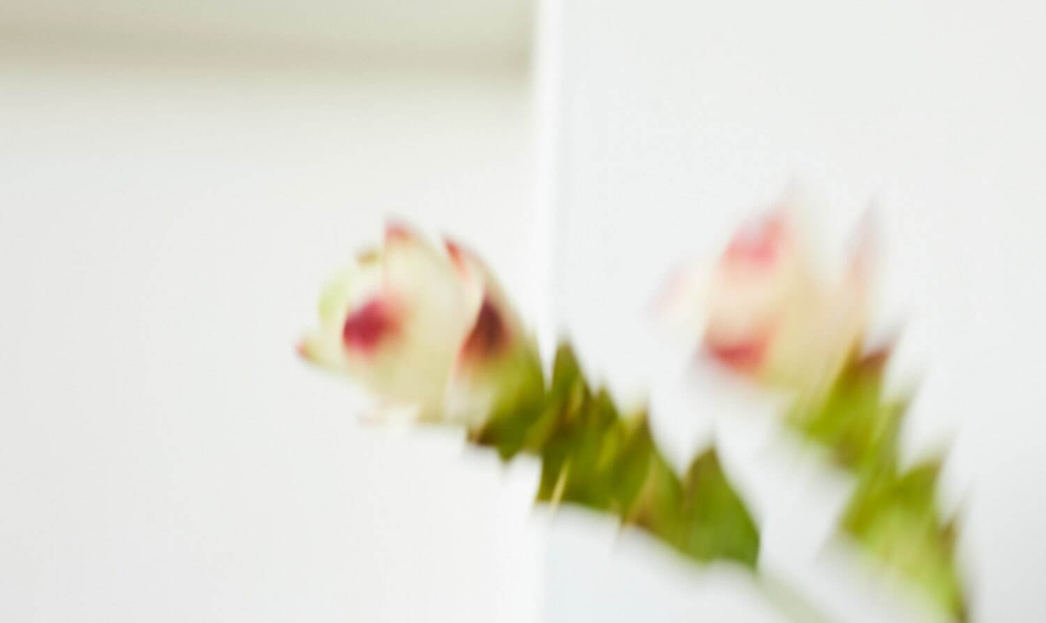 ワランス(WALANCE) 2023-24年秋冬ウィメンズコレクション  - 写真44