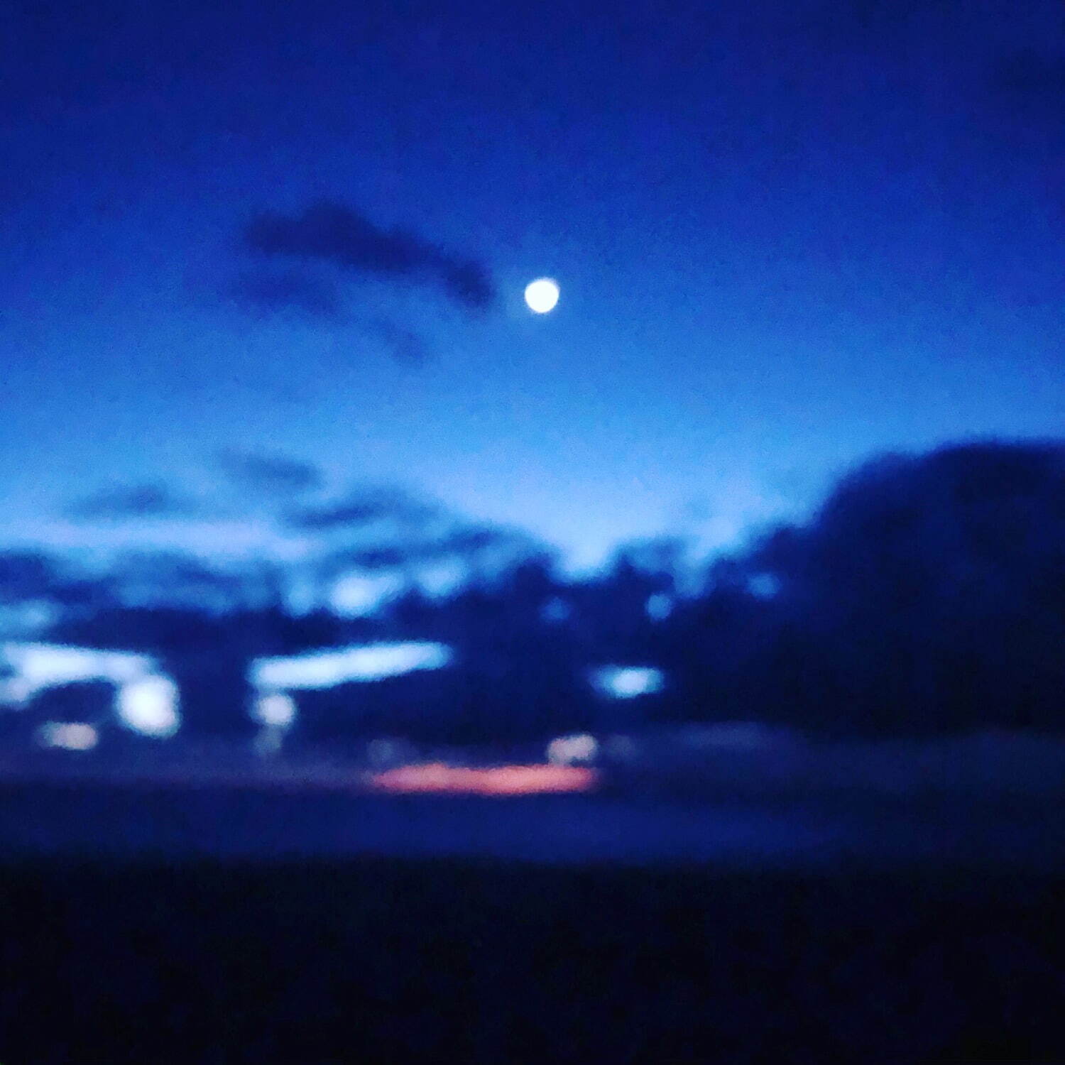 「山崎美弥子展」青山・スパイラルで、“夜明けがテーマ”青にフィーチャーした新作など100点以上｜写真8