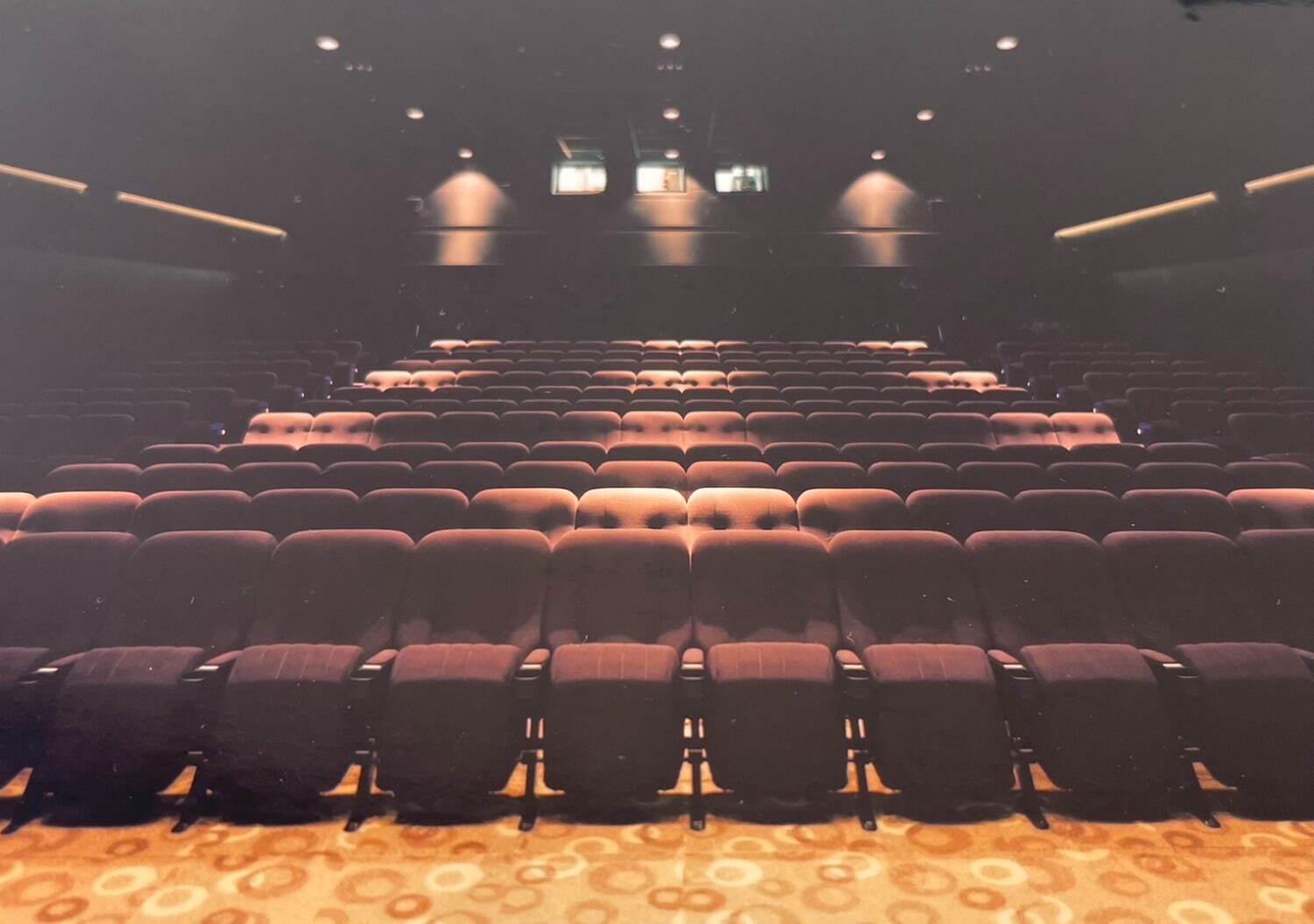 映画館「キノシネマ 新宿」新宿文化ビルに新オープン、2スクリーンで多彩な邦画・洋画を上映｜写真2