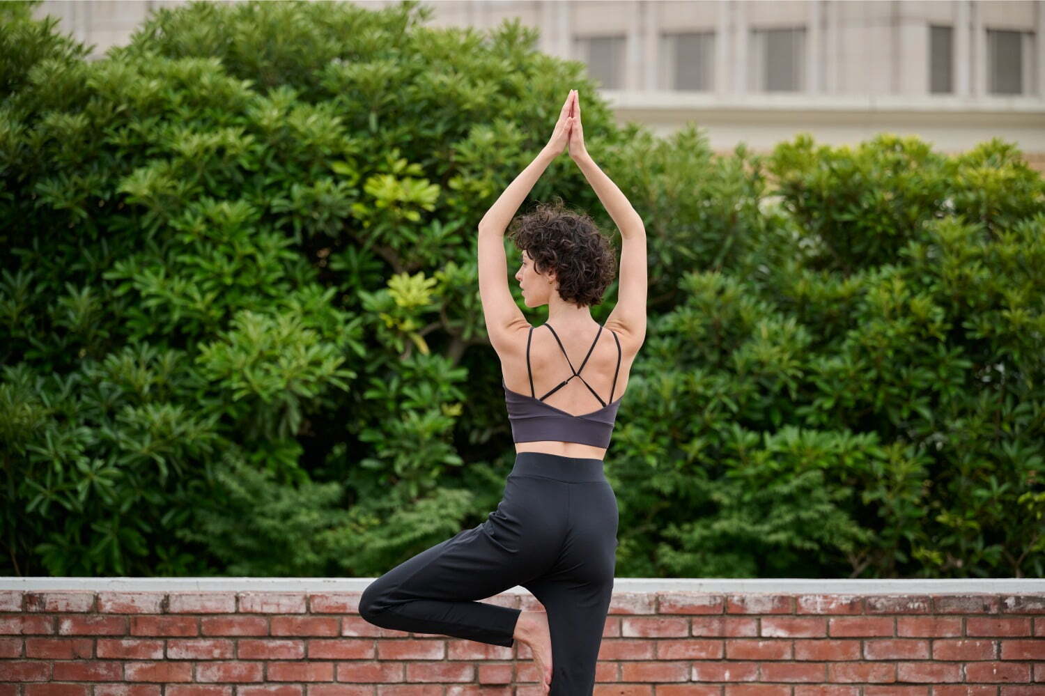 トゥー ユナイテッドアローズ(TO UNITED ARROWS) 2023年秋 ウィメンズ