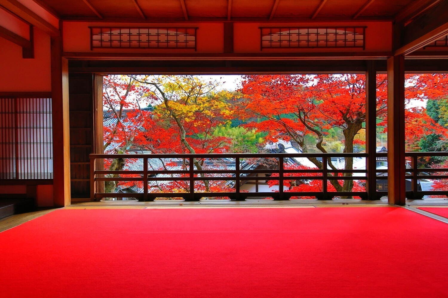 【関西の秋イベント2023】大阪・京都・兵庫のおすすめお出かけスポット、紅葉・ハロウィン祭りなど｜写真9