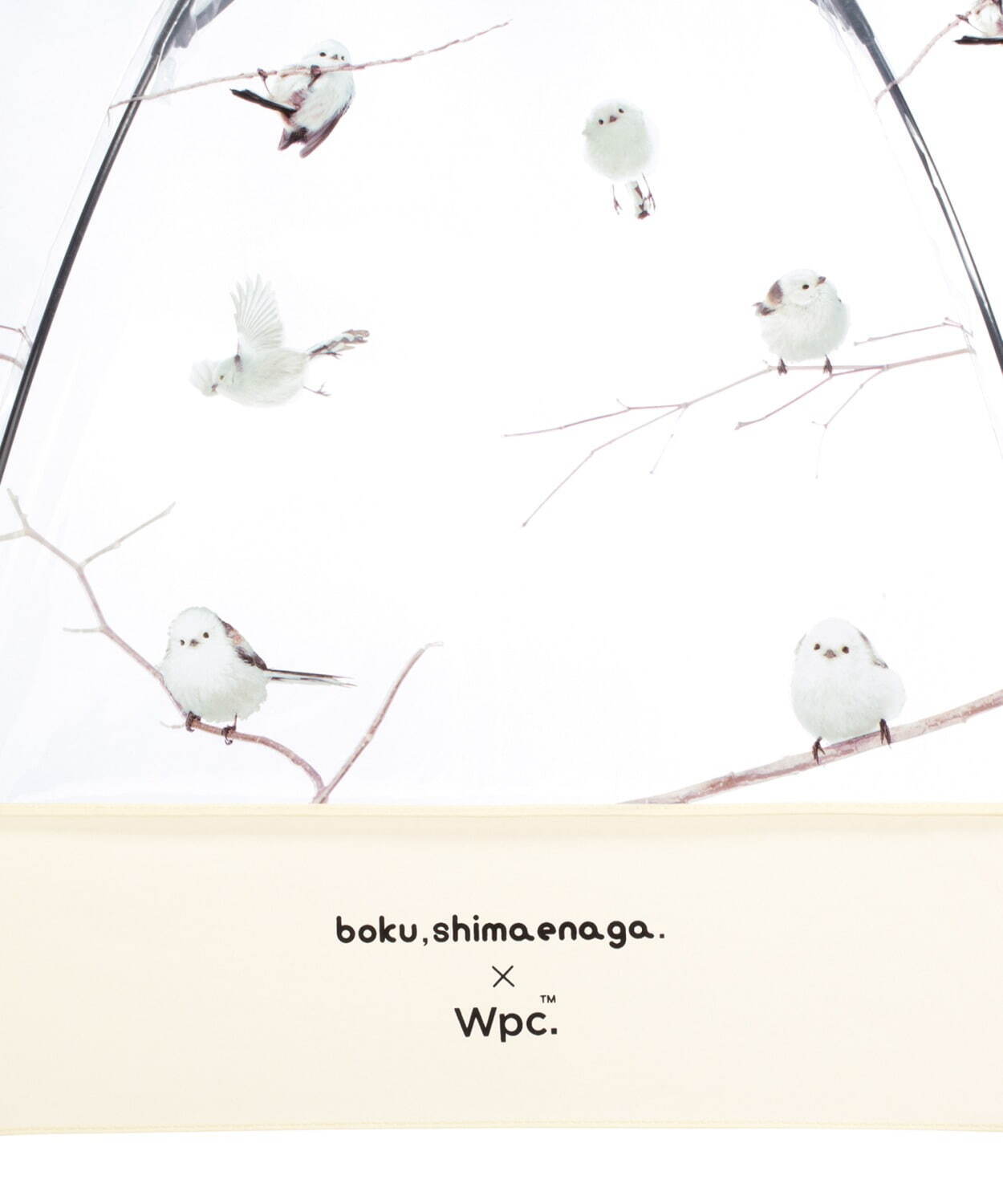 ダブリュピーシー(Wpc.) ぼく、シマエナガ。｜写真7