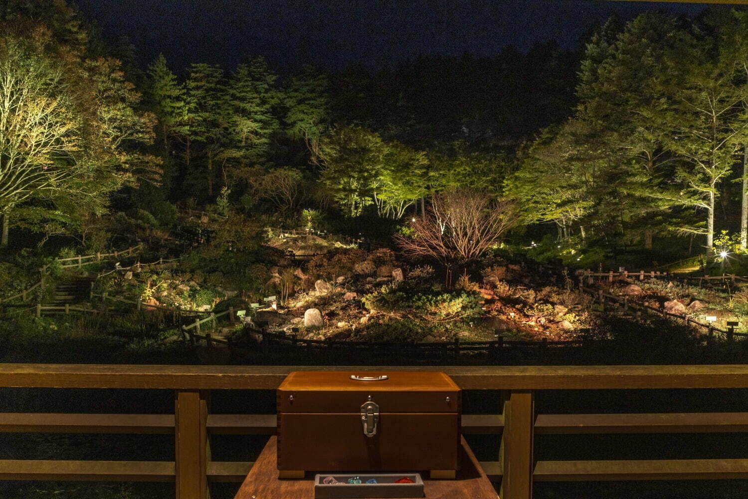 神戸・六甲山の夜間イベント「ひかりの森～夜の芸術散歩～」自然の中で楽しむ光のアート作品｜写真5