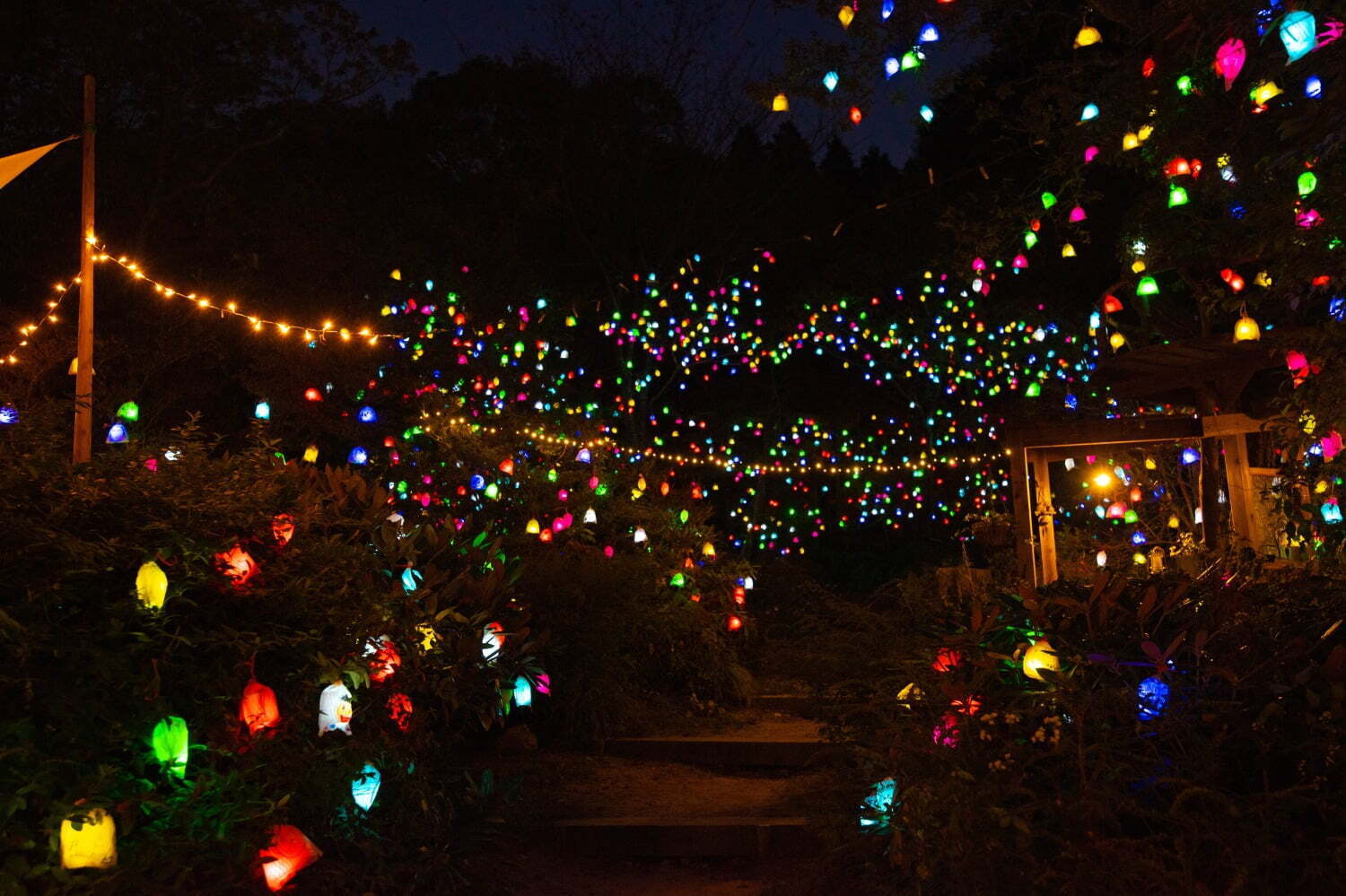 神戸・六甲山の夜間イベント「ひかりの森～夜の芸術散歩～」自然の中で楽しむ光のアート作品