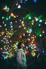 神戸・六甲山の夜間イベント「ひかりの森～夜の芸術散歩～」自然の中で楽しむ光のアート作品｜写真3
