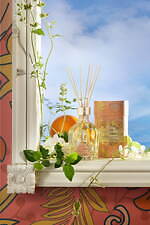 サボン(SABON) アロマ｜写真11