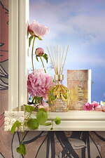 サボン(SABON) アロマ｜写真9