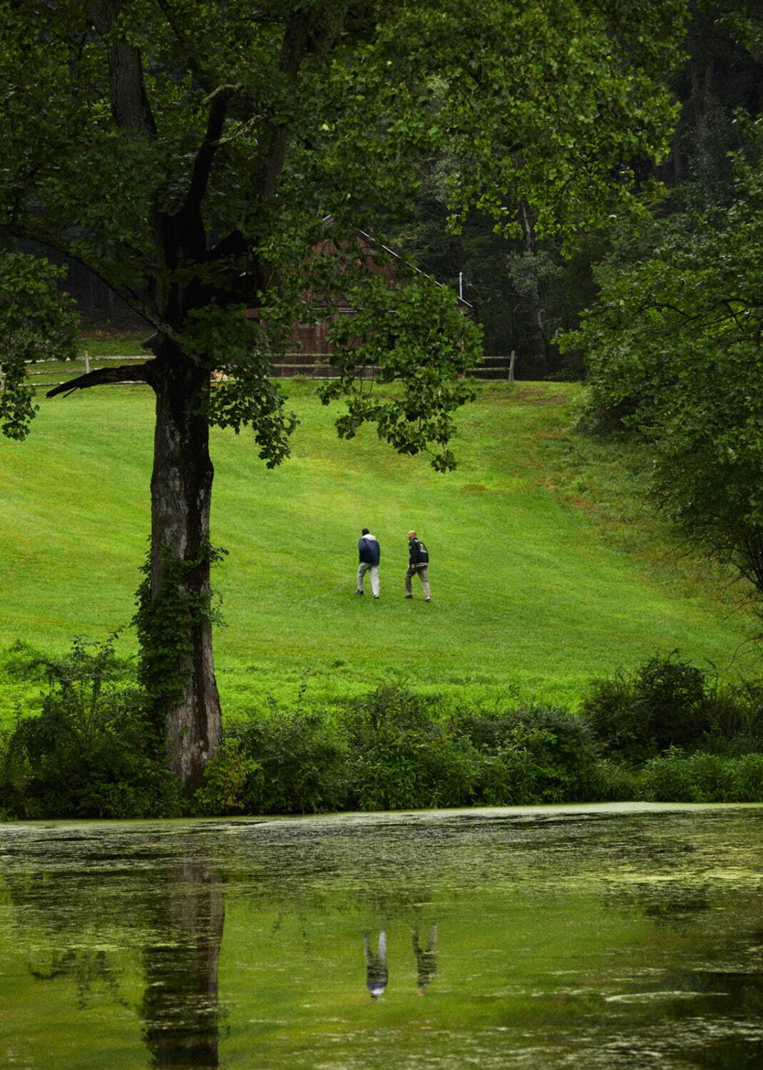 キス 2023年秋<span>コレクション</span> - 写真1