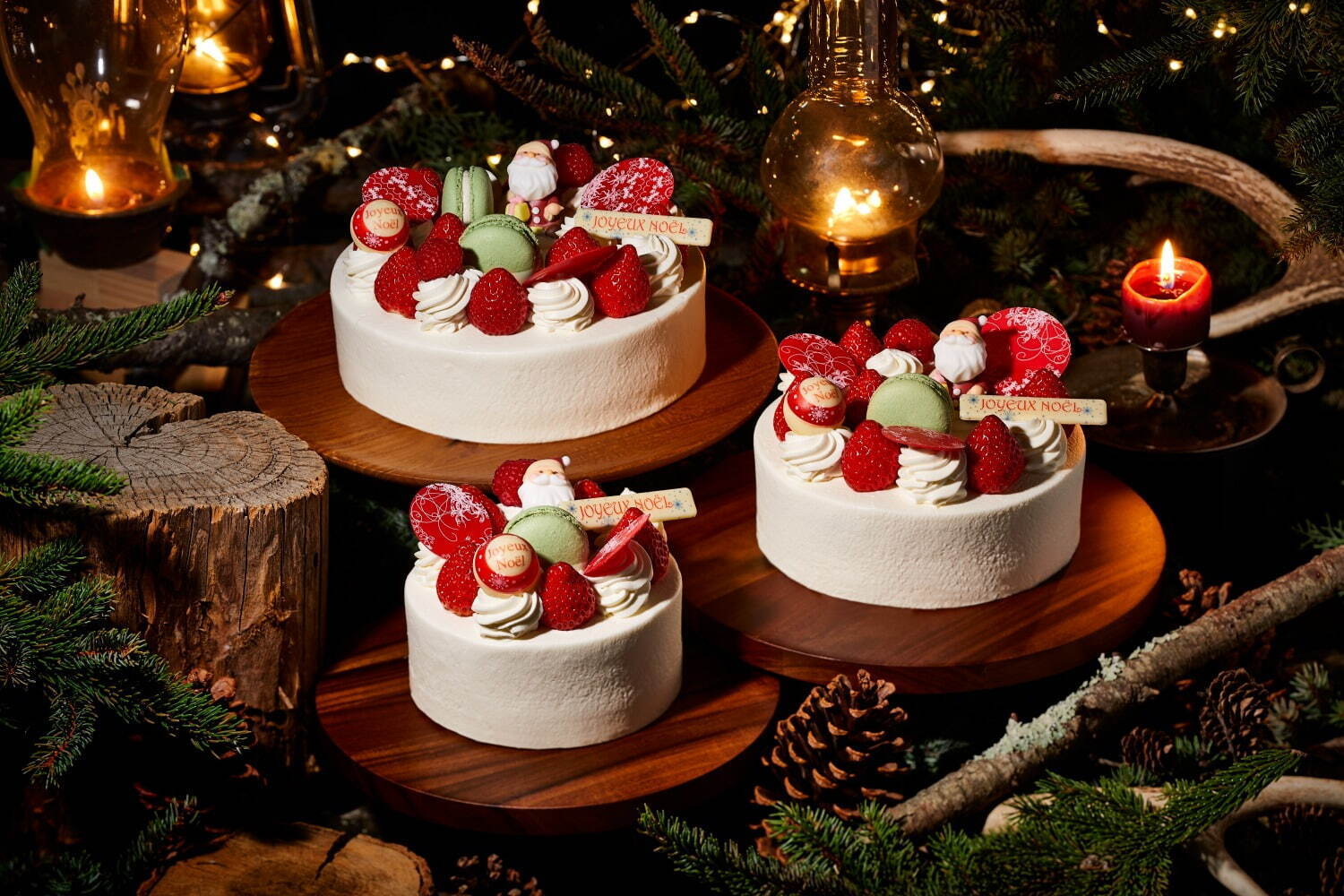 帝国ホテル 東京のクリスマス2023、“赤いバラが咲く”ショートケーキやトリュフケーキなど｜写真12