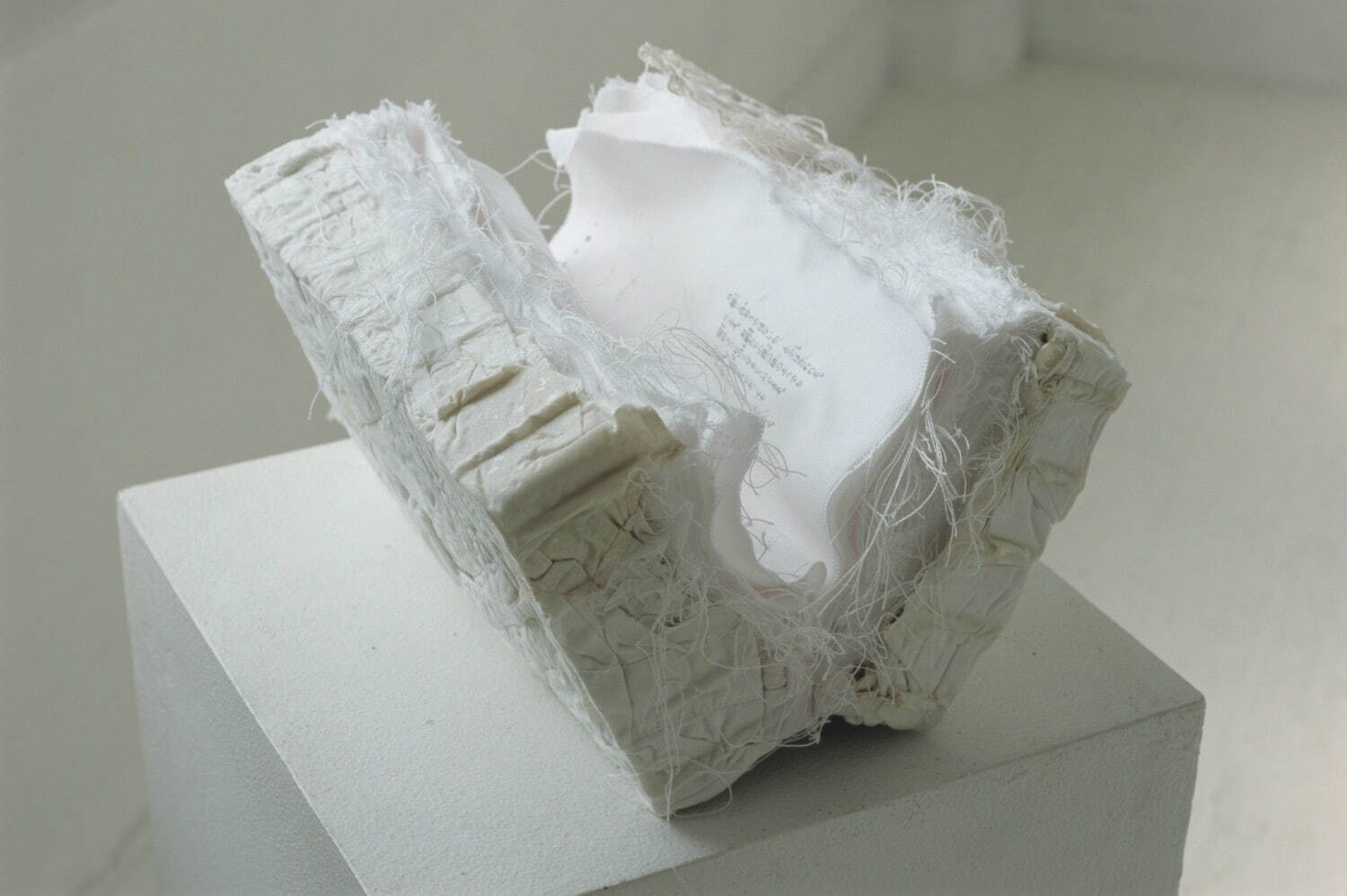 吉本直子 《本》 2005年