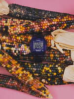 ビームス ボーイ×ニードルズ×タイメックスの新作腕時計、パープルのタイダイ柄＆クリア素材で｜写真2