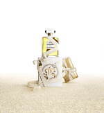 シャネル(CHANEL) シャネル N°5｜写真2