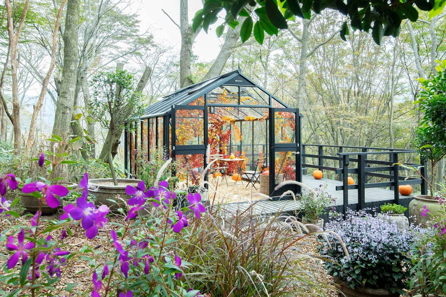 ニコライ バーグマン 箱根 ガーデンズ「ニコライ バーグマン 箱根 ガーデンズ」