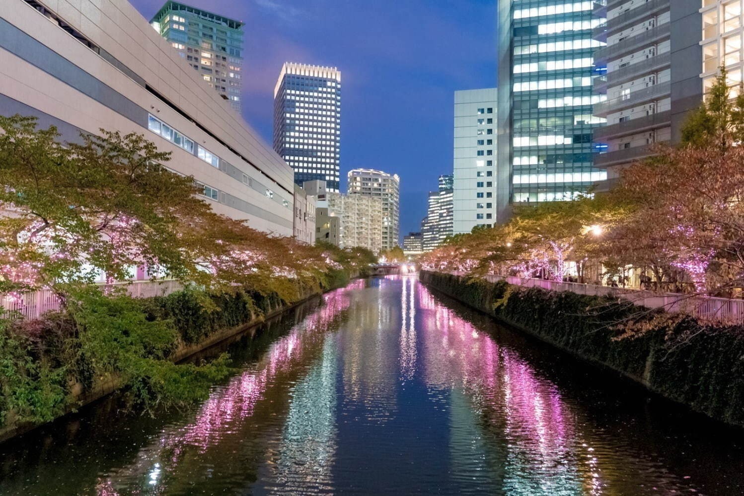 東京都内＆関東の「イルミネーションイベント」2023-24年冬・年末年始の人気お出かけスポット｜写真21
