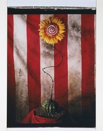 大阪で「ティム・バートンの世界」展 - 約500作品が日本初上陸、コスプレナイトも｜写真105