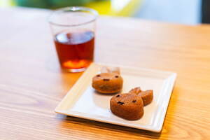 「ミッフィーカフェ」東京・代官山にオープン、ディック・ブルーナの絵本の世界を体感するメニュー｜写真13