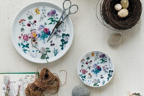 アフタヌーンティー×英国王立植物園「キューガーデン」“花やきのこ”を描いた食器・雑貨