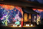 京都・二条城アートイベント「ネイキッド フラワーズ 2023 秋」国宝×プロジェクションマッピング｜写真2