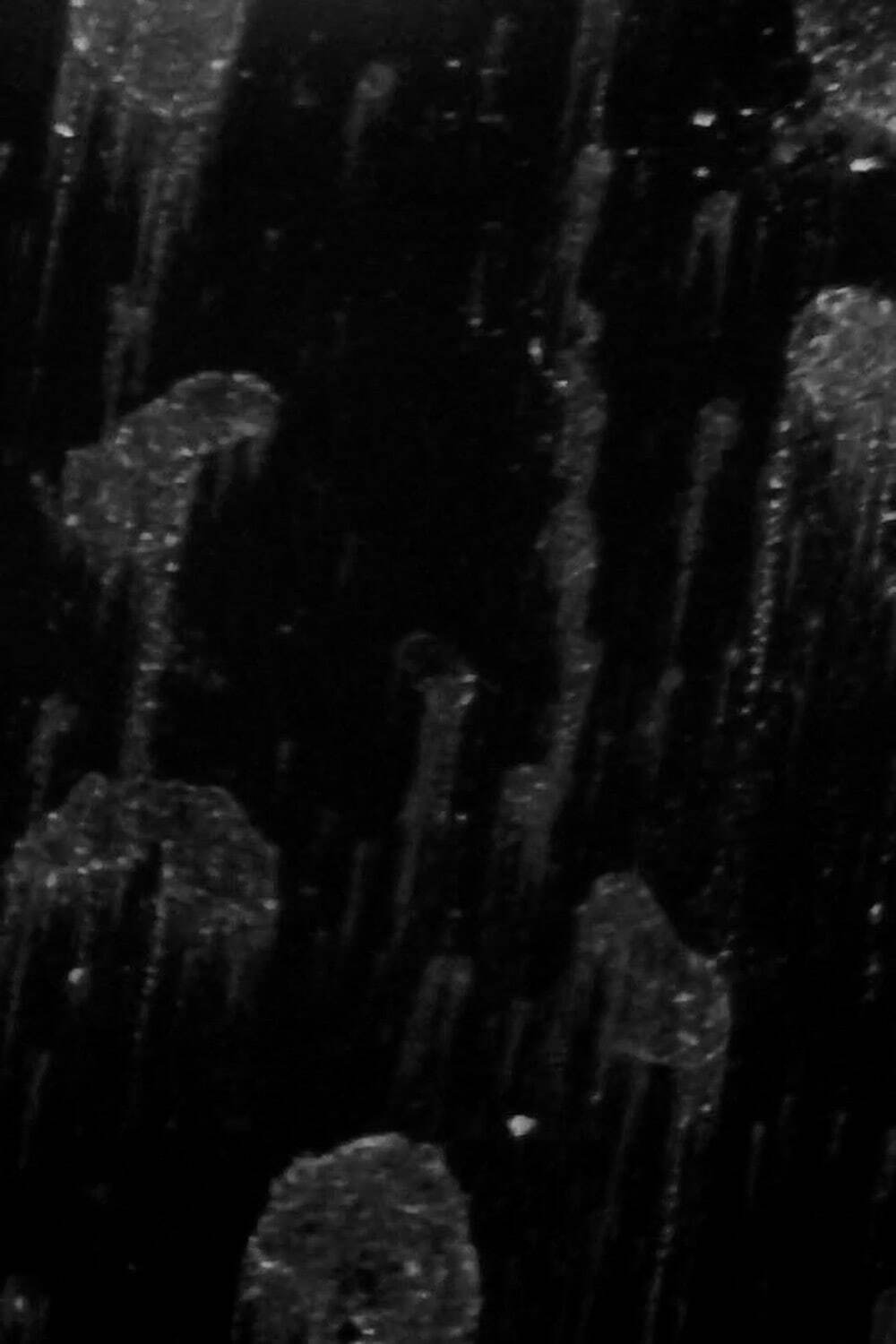 潘逸舟 《家を見つめる窓》 2023年 作家蔵