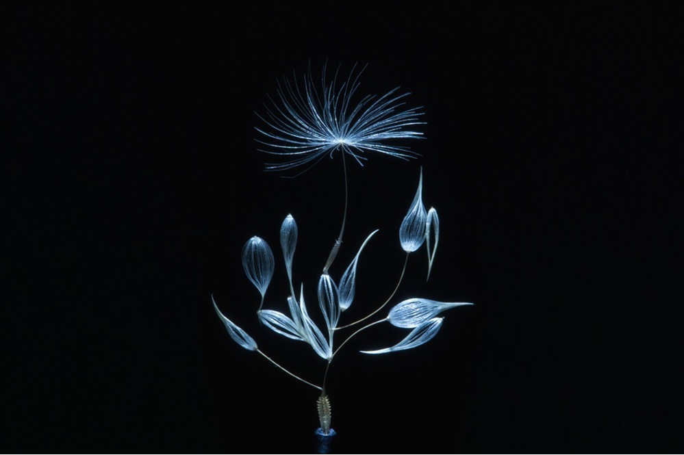 東京都現代美術館「MOTアニュアル2023」“創造と生成のありよう”テクノロジーを用いた作品を紹介